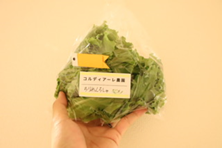 blog2025061201.png