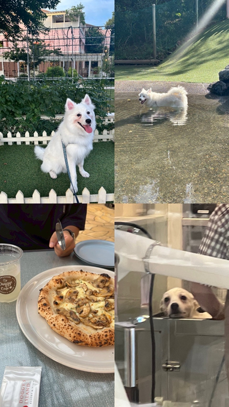 blog2025081204.png