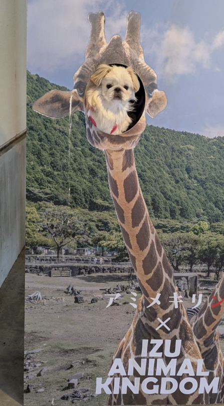 2026100503.png